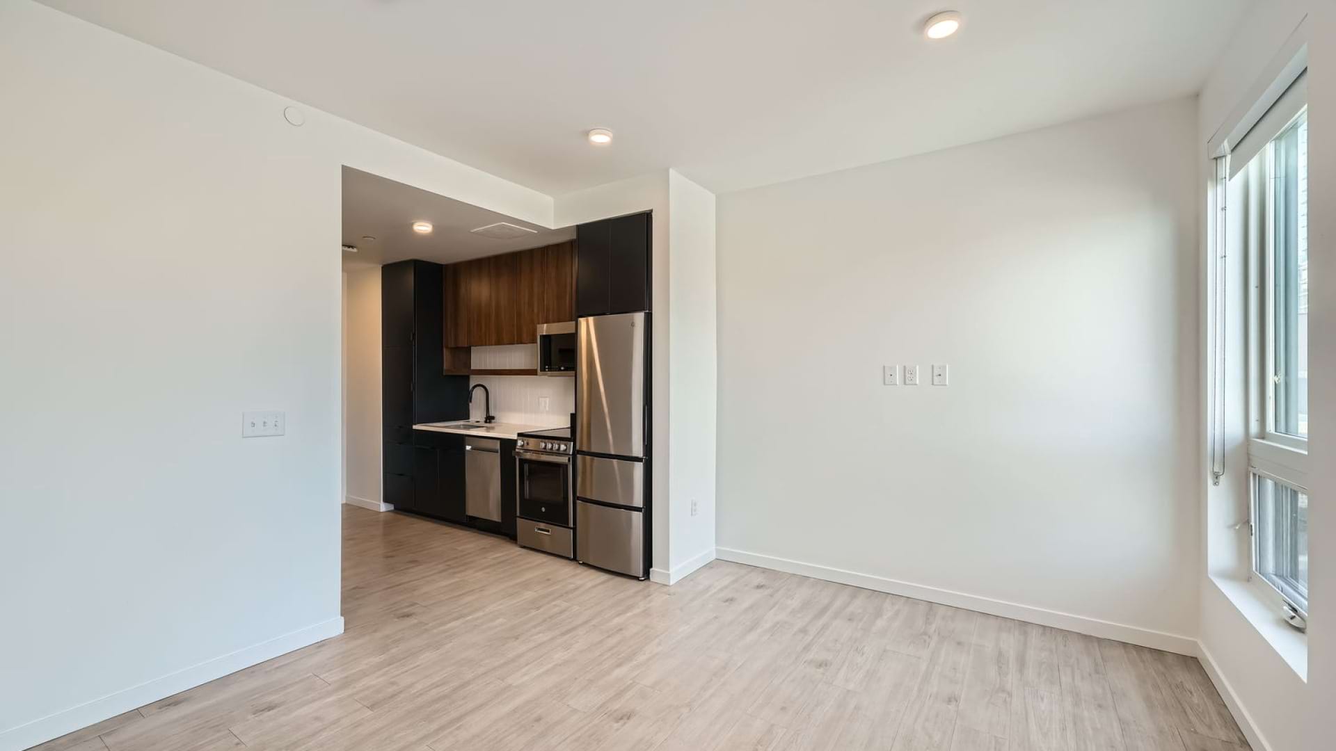 Living Area and Kitchen