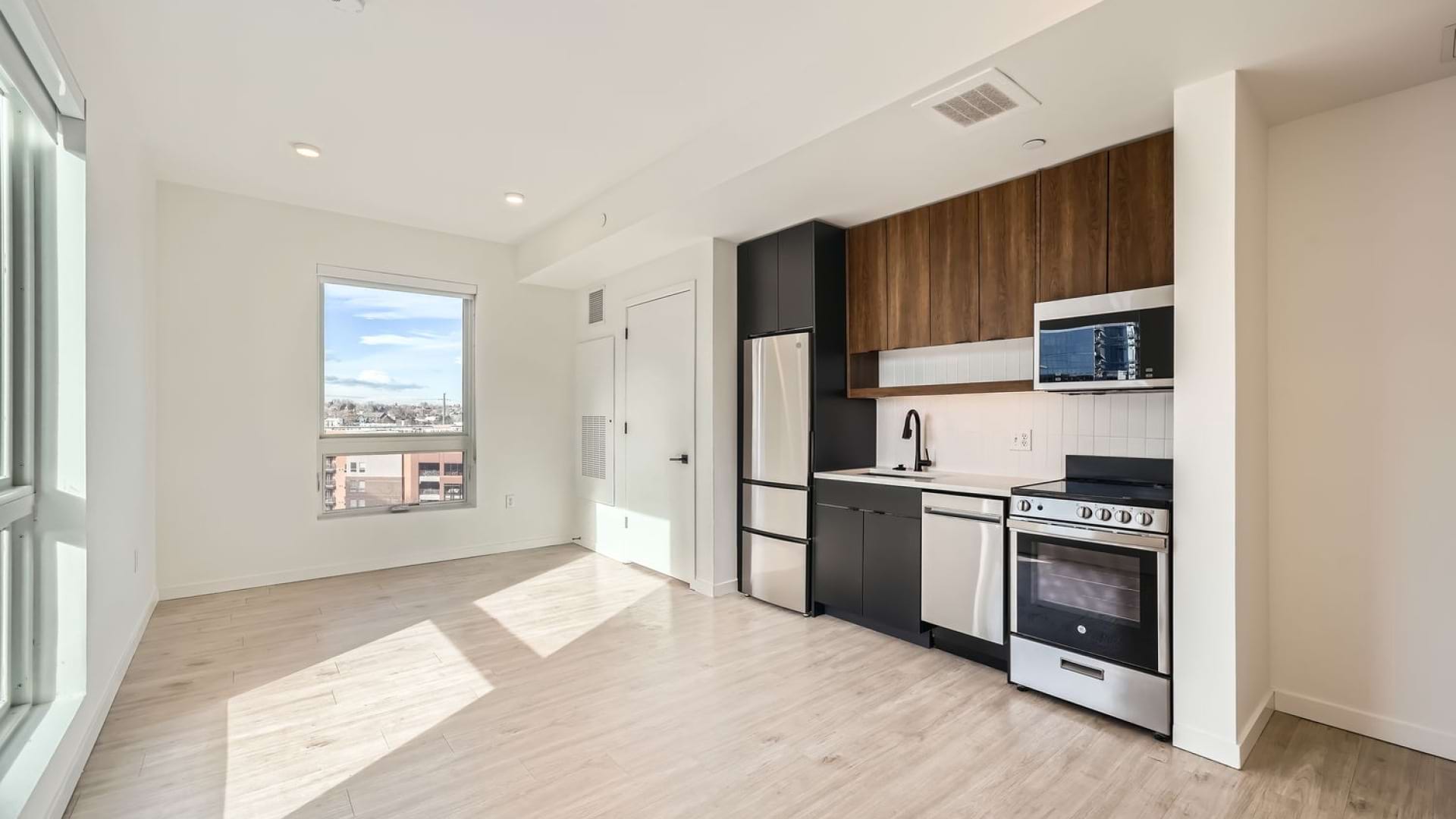 Living Area and Kitchen